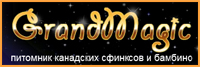       www.mynewDOG.ru